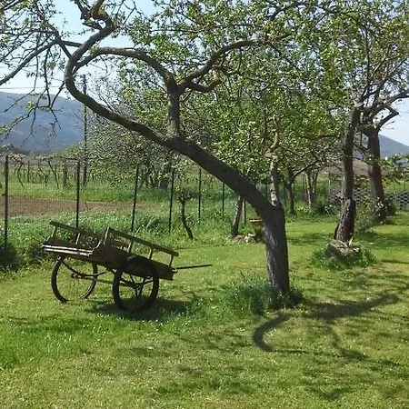 Casa La Magnolia Appartamento *