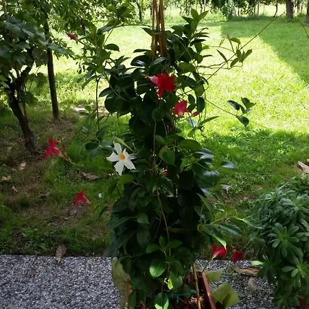 Appartamento Casa La Magnolia *